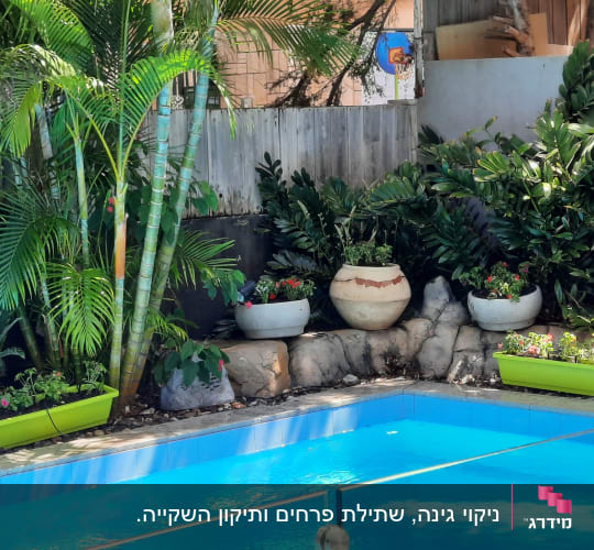 גינה מטופחת לצד בריכת שחייה עם עציצים, דקלים ומערכת השקיה לאדניות